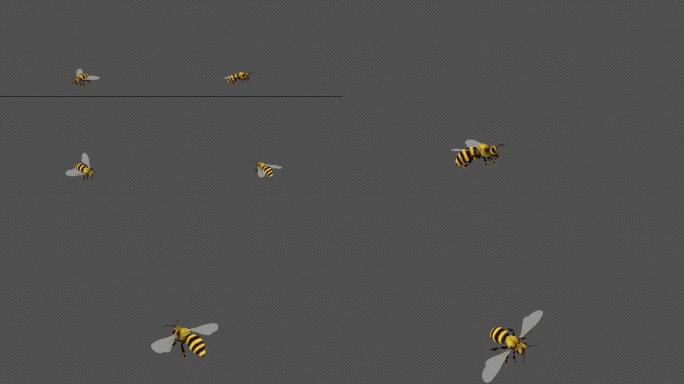 蜜蜂飞舞透明通道（Alpha通道）