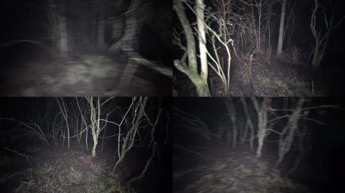 在雾蒙蒙的树林里行走，晚上很害怕。