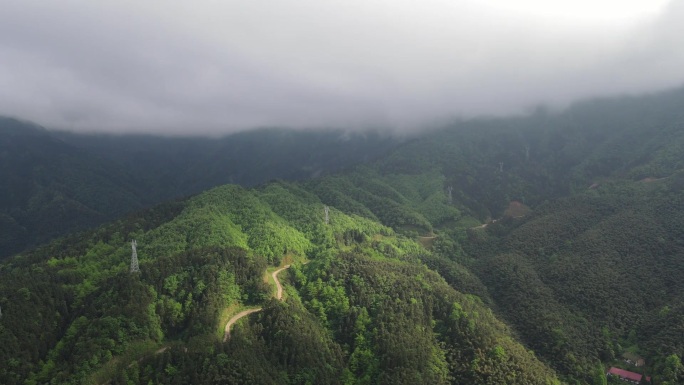 龙山