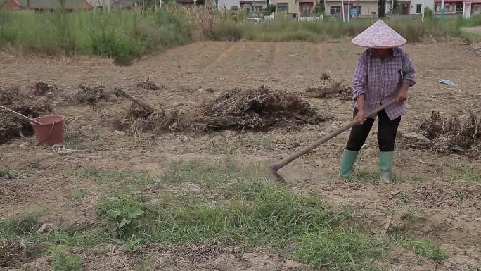 农村农民干农活劳动锄地翻土锄草耕种