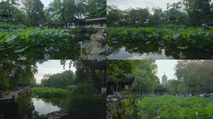 苏州园林·拙政园夏季亭台楼阁花窗荷塘北寺