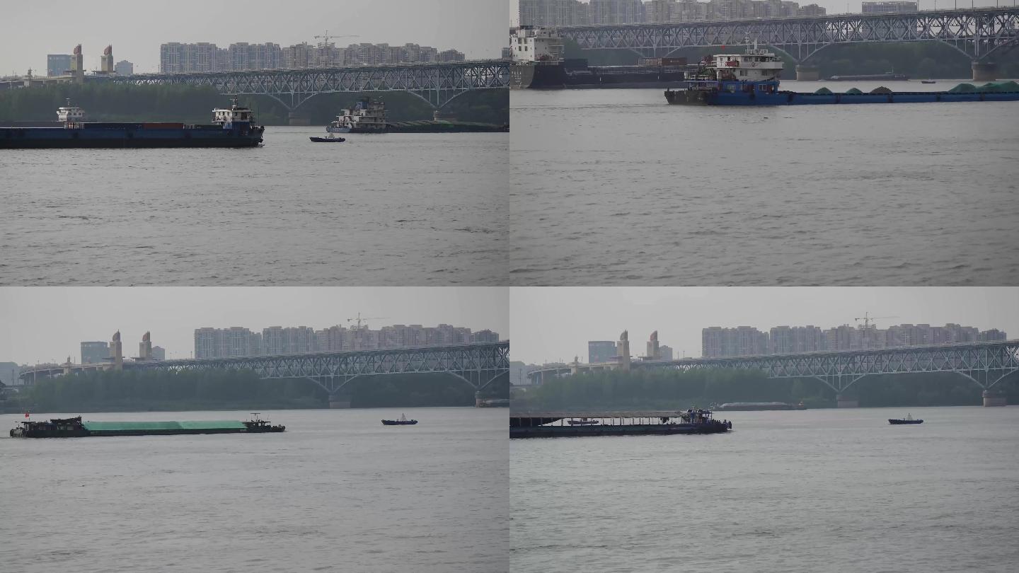 长江大桥下江豚与大货船和谐相处