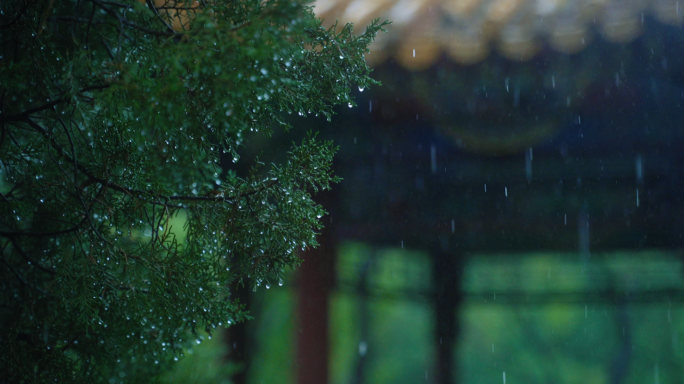 春天下雨唯美清新空镜雨景4k视频素材