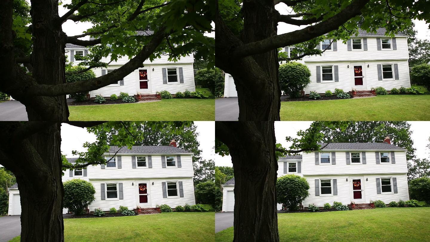 从前院的树下移缓缓露出树后白色的房屋