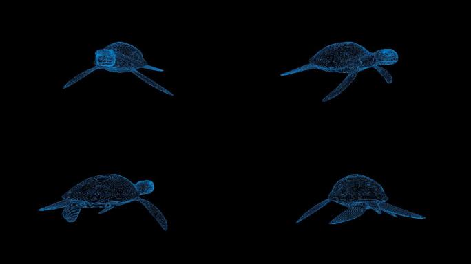 4K蓝色全息科技线框海龟素材旋转带通道