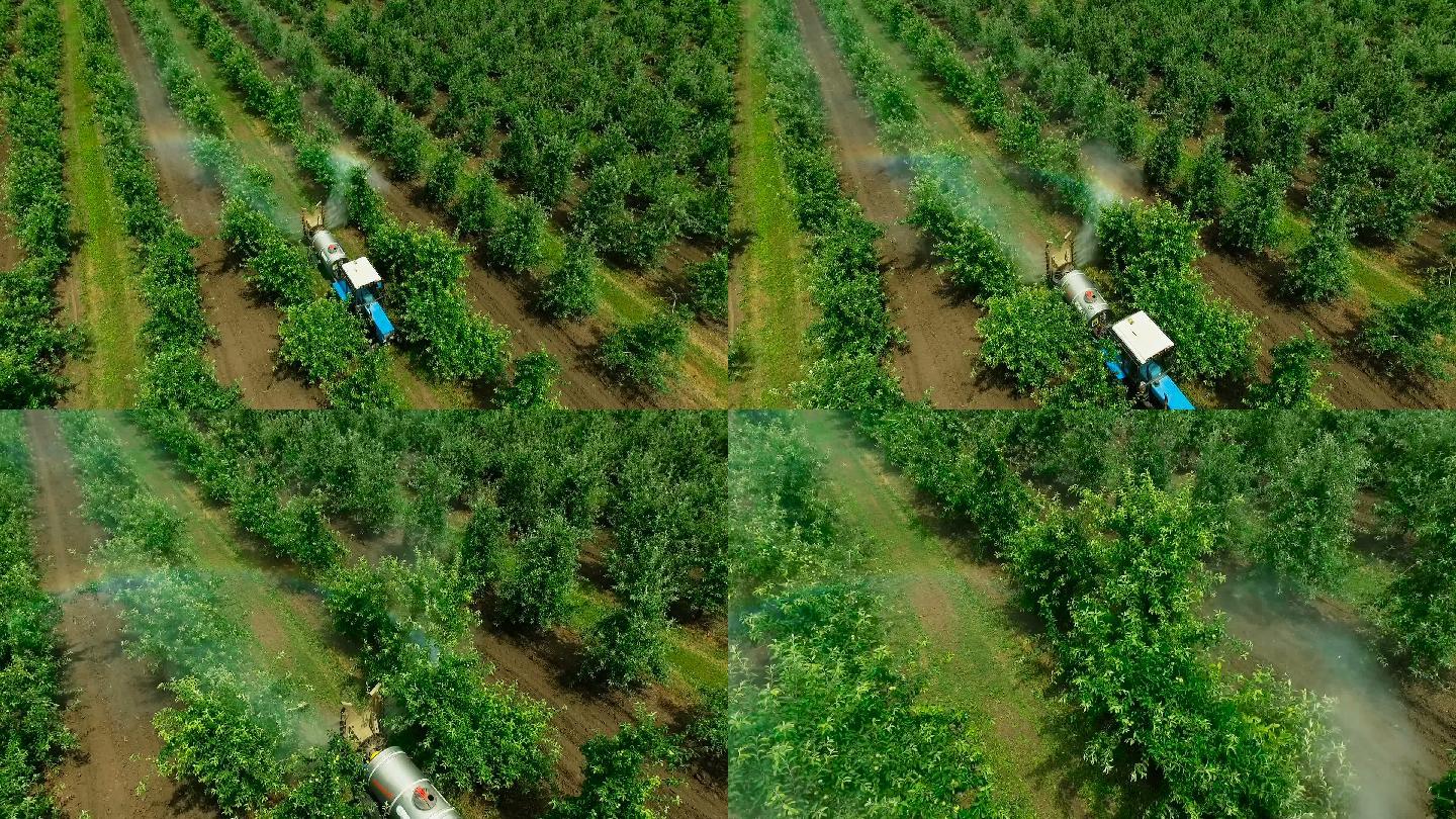 苹果园使用农业拖拉机喷洒杀虫剂