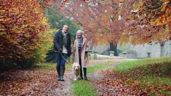 老人夫妇带着狗在秋天的乡间小路上散步