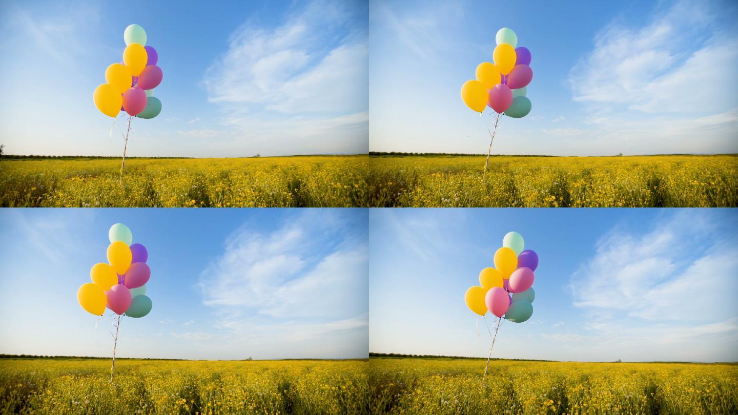 草地上五颜六色的气球