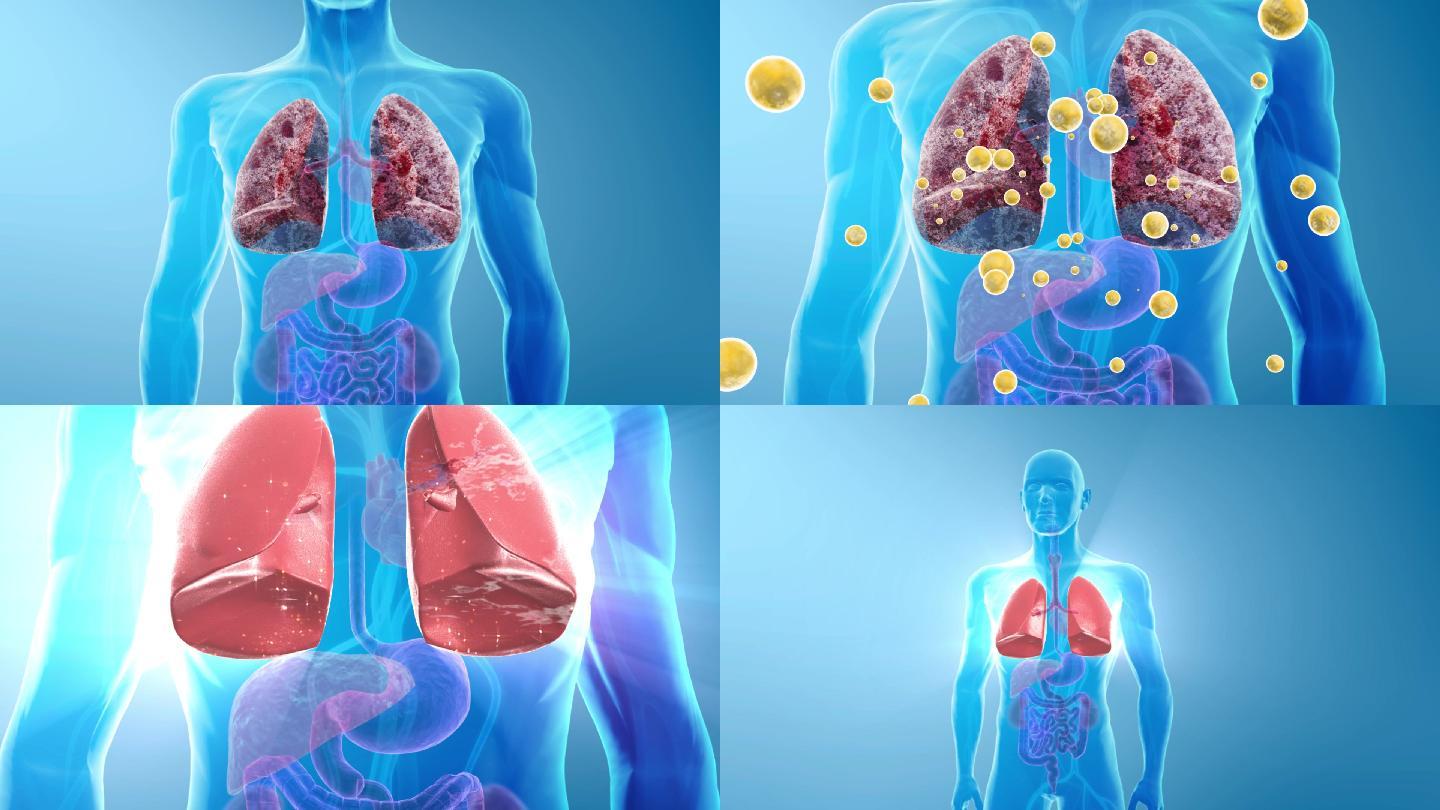 清除肺病垃圾毒素