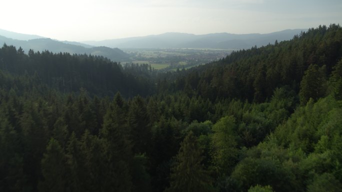 德国黑森林鸟瞰图