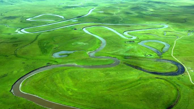 黄河上游生态系统 草原湿地 湿地 黄河