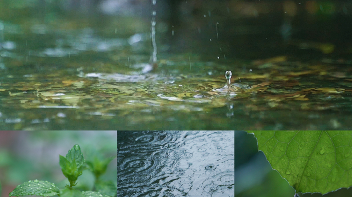 春天下雨唯美清新空镜雨景4k视频素材