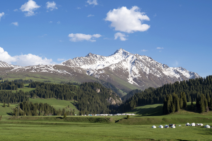 牧场 放牧 羊群在雪山蓝天背景