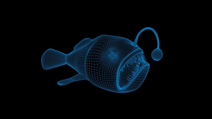 蓝色全息科技线框灯笼鱼视频素材旋转带通道