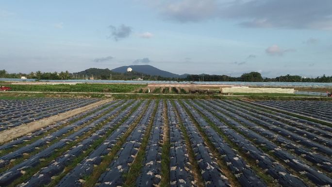 航拍海南南繁农业试验基地