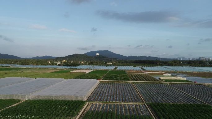 航拍 海南 大面积 南繁农业试验基地