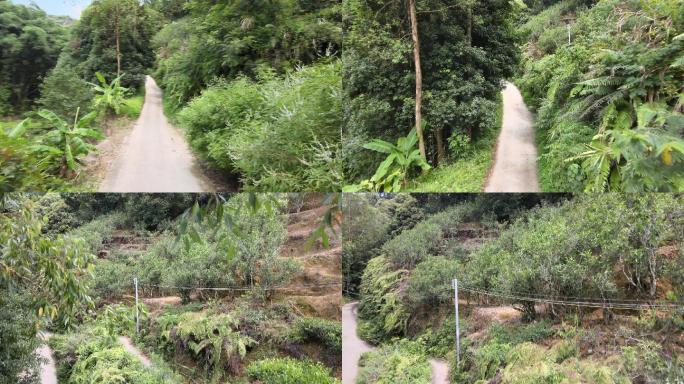 航拍山间小路 茶山