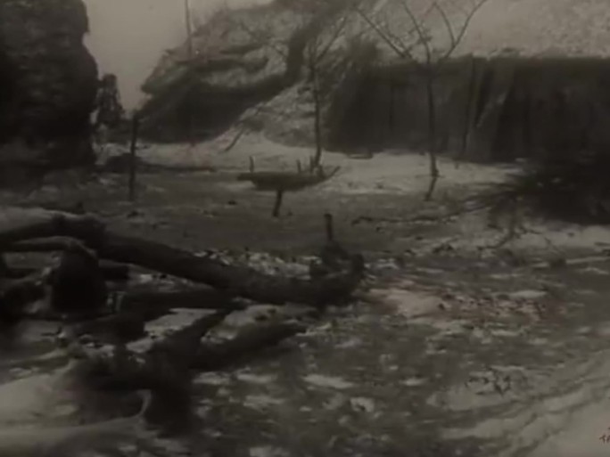 60年代农村的冬天视频