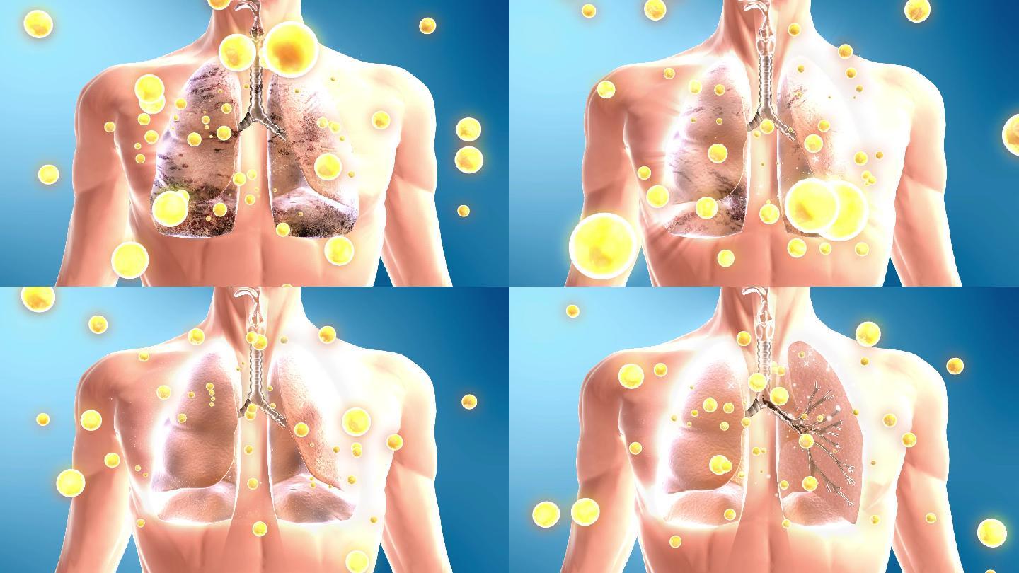 三维清除肺病垃圾毒素