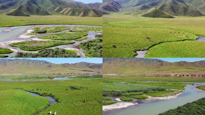 新疆巴音布鲁克湿地 航拍素材