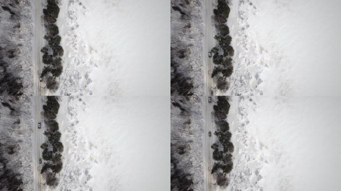 冬季森林中道路的空中视频
