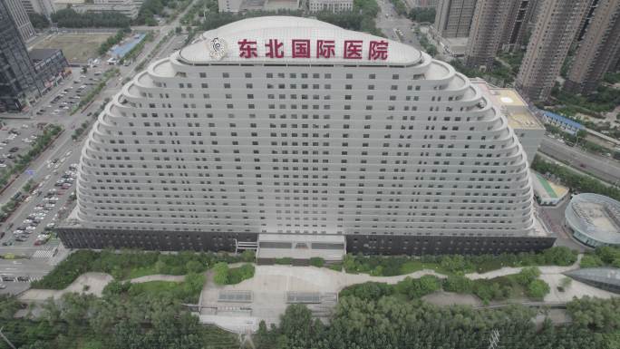 东北国际医院