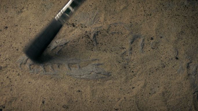 用刷子挖掘恐龙头骨化石