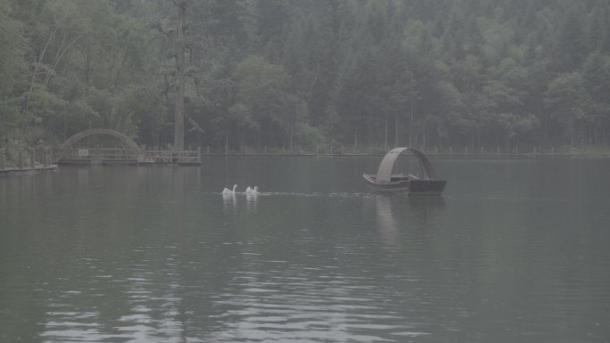 鹅嫚沟官鹅沟湖心船绿水小雨意境灰片4K