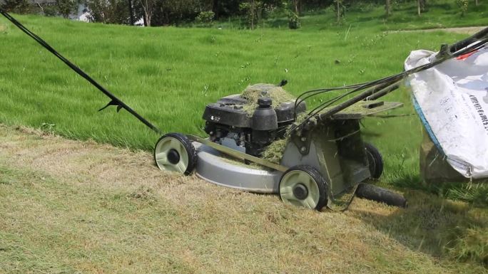 割草机 电动工具 草坪 园林 割草