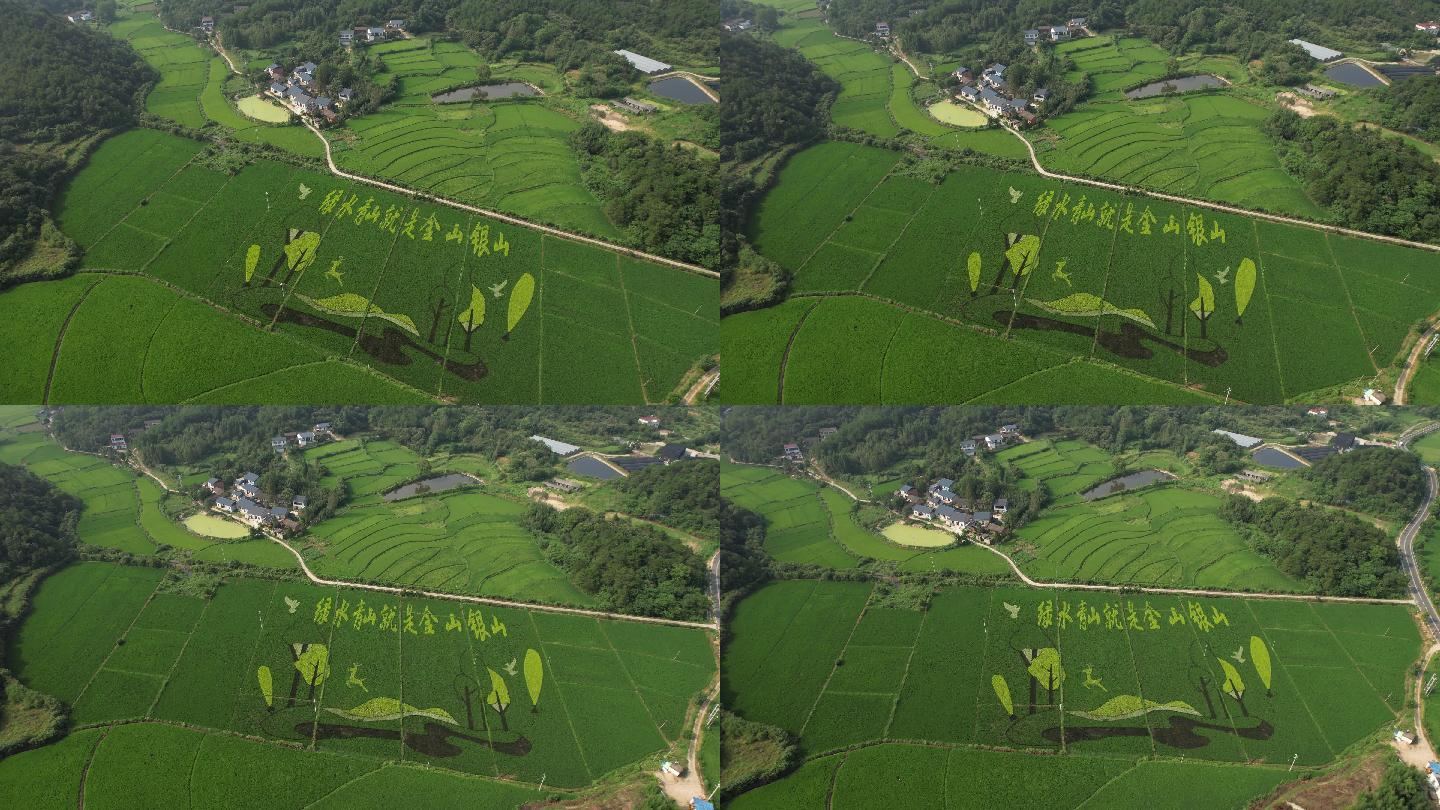 绿水青山就是金山银山稻田画 4k
