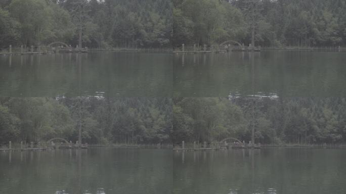 鹅嫚官鹅沟湖心绿水小雨4K