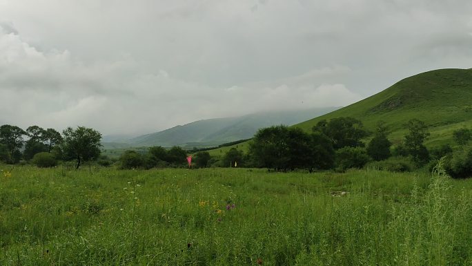 大雨来临前乌云草地