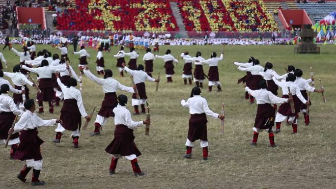藏族文化 舞蹈 少数民族 青海 文艺演出