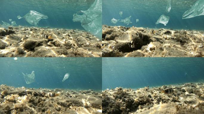 鱼在被塑料袋污染的海里游泳