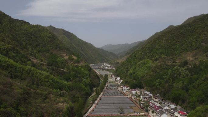 航拍柞水县金米村木耳种植基地