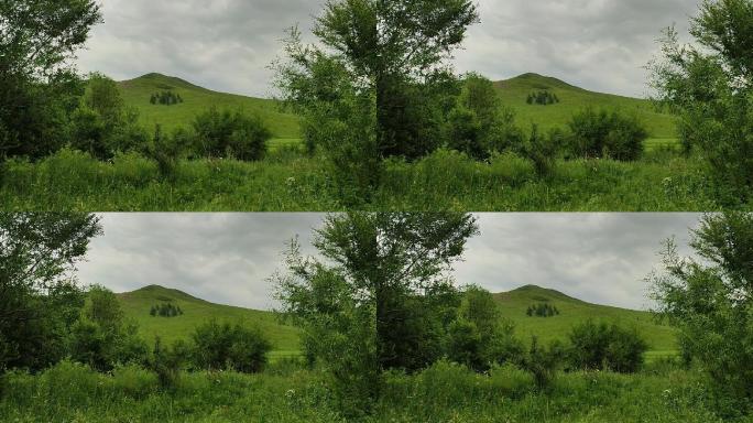 雨后的绿树和小山