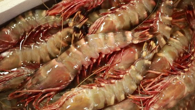 水产美食的食材新鲜的大虾罗氏虾海虾