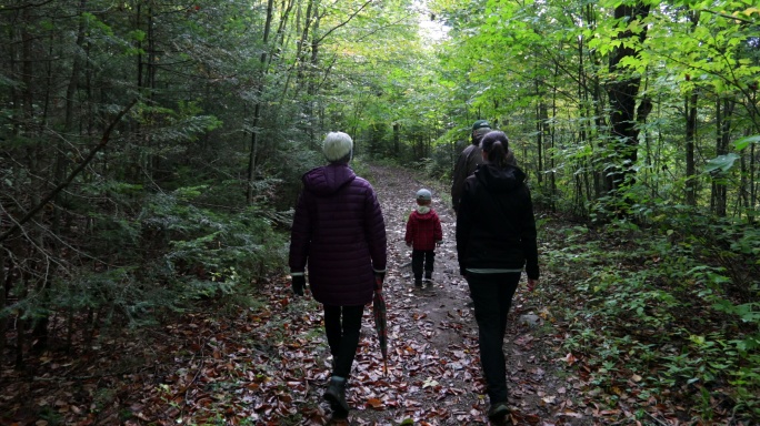 一家人徒步小径探索森林