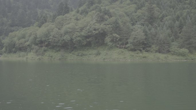 鹅嫚沟官鹅沟湖心绿水小雨意境灰片4K