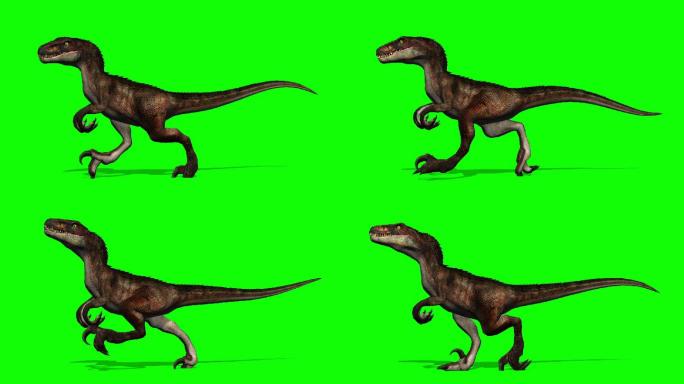 绿屏上奔跑的恐龙
