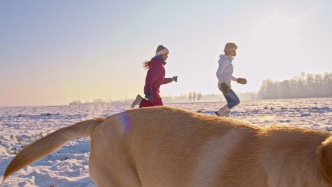 妈妈和女儿在雪地里和狗一起跑
