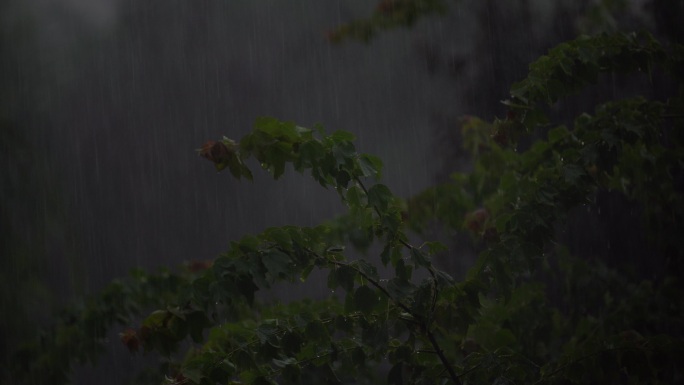 暴雨原素材