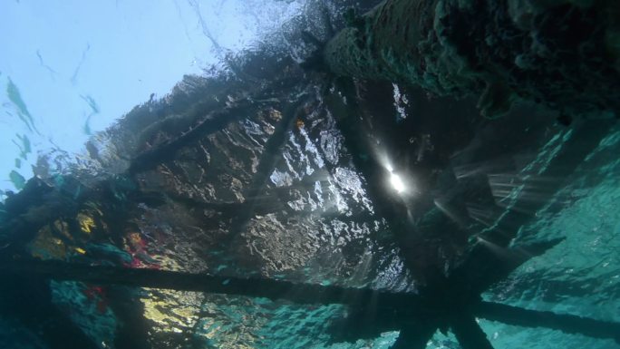 着陆台海底世界背景深海鱼群各种热带鱼