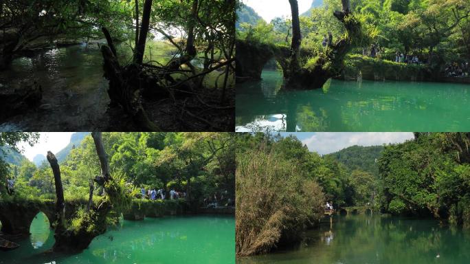 4K森林小七孔水资源12组