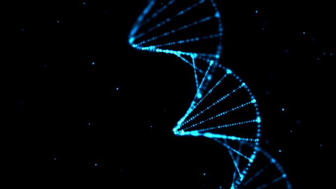 DNA粒子汇聚成基因