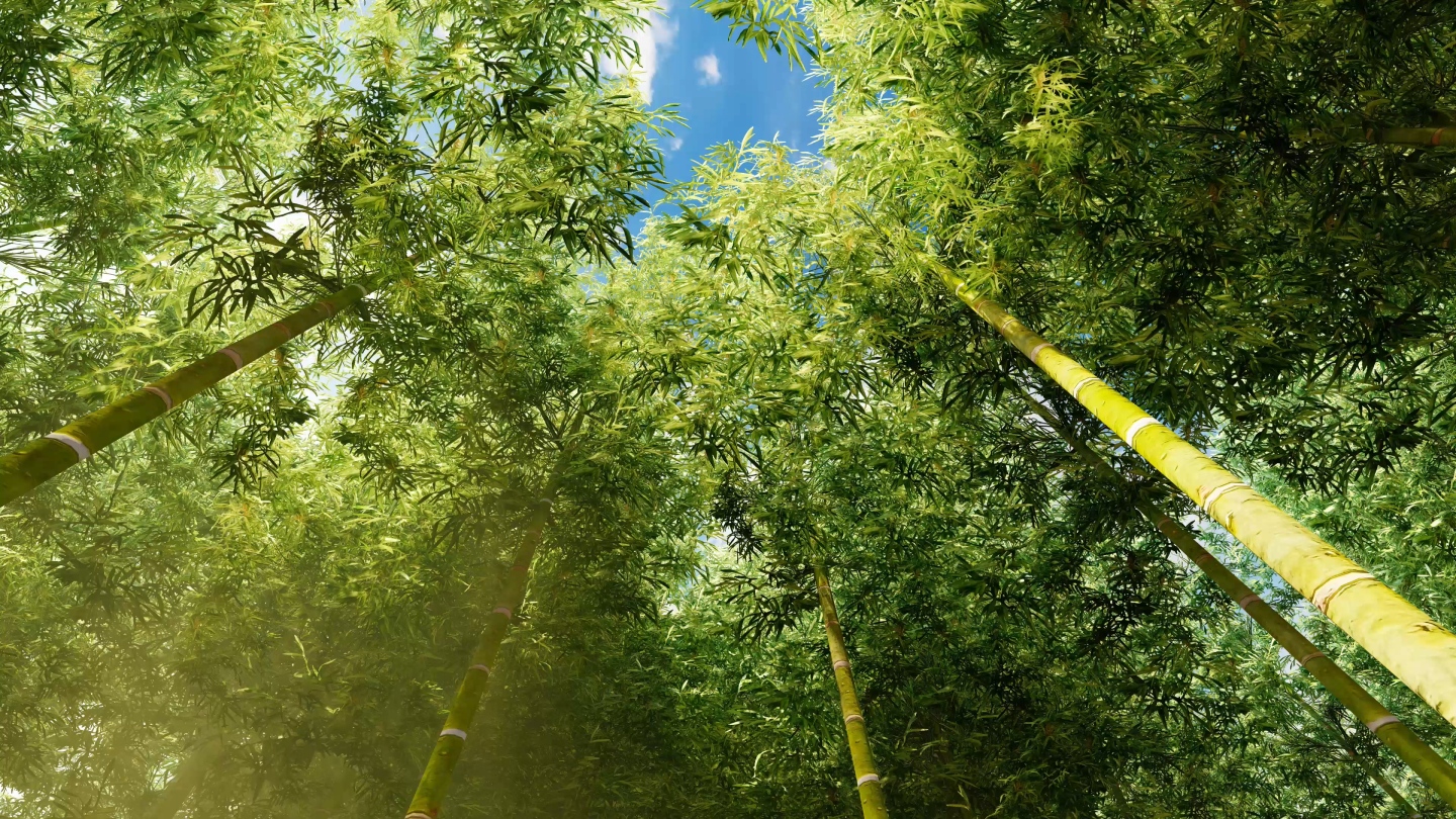 4k竹林cg动画