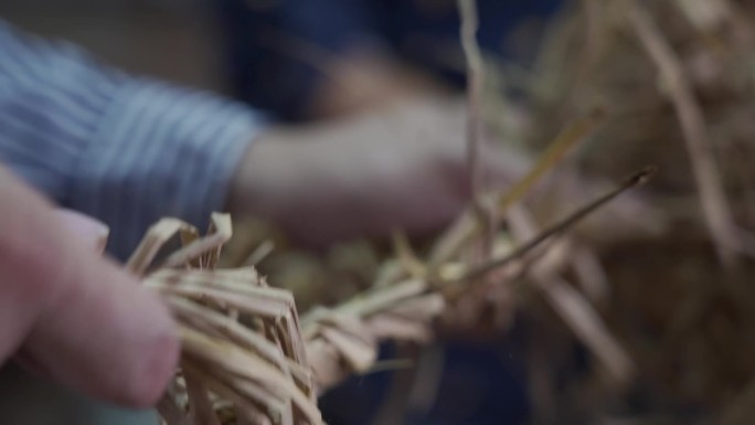 炮龙节 宾阳炮龙节 非遗