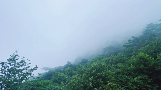 云海原始山林空气升格拍摄雾气弥漫凉爽天气