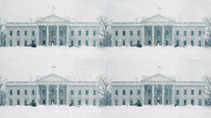 暴风雪中的白宫冬季雪花下雪雾凇风景