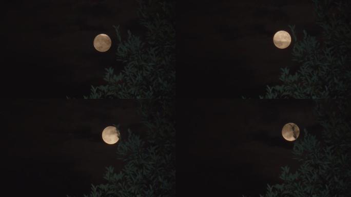 中秋节实拍唯美月亮